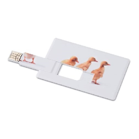 Creditcard  USB flash 4GB MEMORAMA