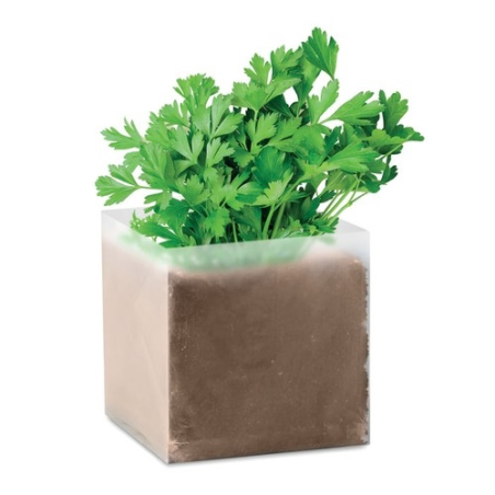 Substrat avec graines Persil PARSELY Substrat avec graines Persil PARSELY