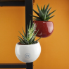 Plante pot céramique aimanté