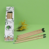 Coffret 6 crayons à graines couleur