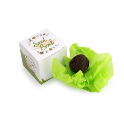 Bombe à graines en boîte