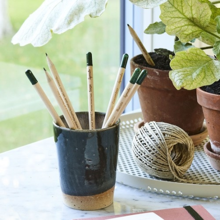 Crayon à graines seul