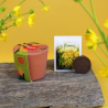 Kit plantation pot ceramique Ø7 cm