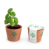 Kit plantation pot ceramique Ø7 cm