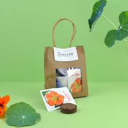 Kit plantation sac kraft