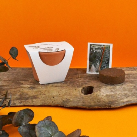 Kit plantation terre cuite Ø 9cm-