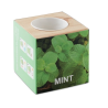 MENTA Pot en  avec graine Menthe