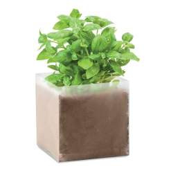 BASIL Substrat avec graines Basilic