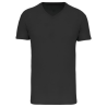 T-shirt Bio150 IC col V homme