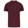 T-shirt triblend sport homme