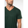 T-shirt Bio150 IC col V homme