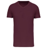 T-shirt Bio150 IC col V homme