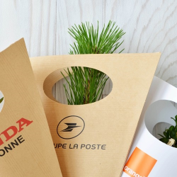 Cornet arbre - Résineux