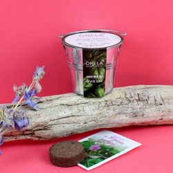 Kit plantation pot zinc Ø7 cm