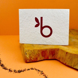 Enveloppe papier graines