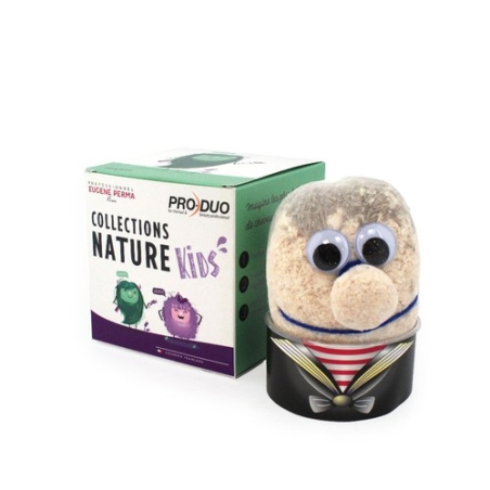 Tête en herbe en cube