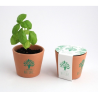 Kit plantation pot ceramique Ø7 cm