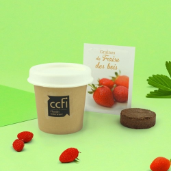 Kit plantation Pot Carton