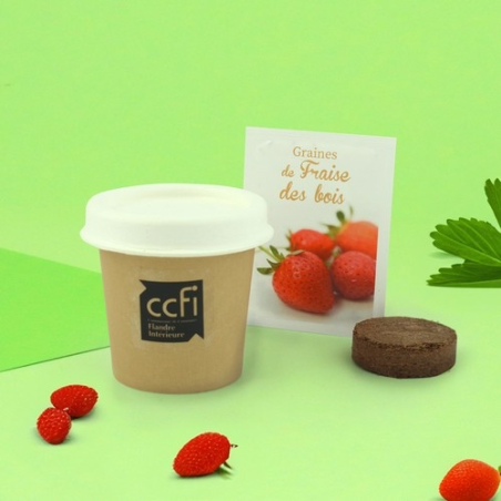 Kit plantation Pot Carton