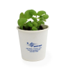 Kit plantation Pot Carton