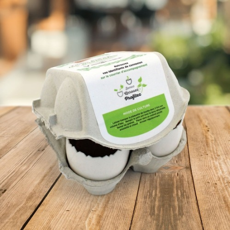 Boîte de 4 oeufs