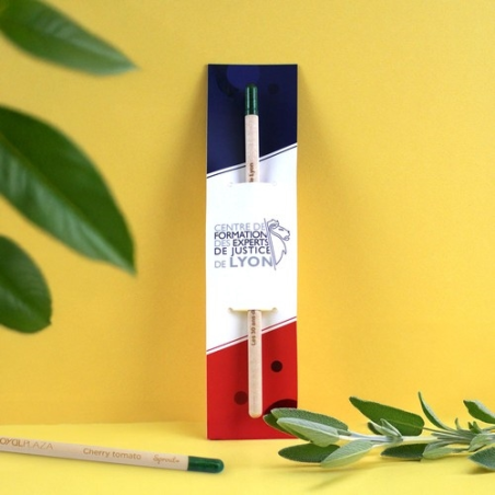 Crayon à graines seul