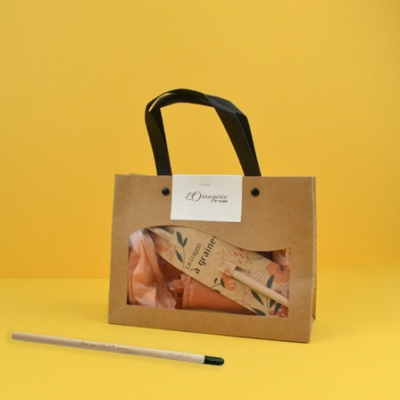 Kit crayon à graines