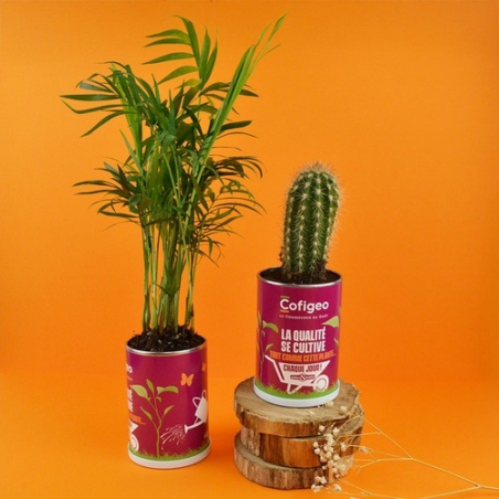 Canette plante all over