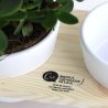Plateau bois 2 pots céramique