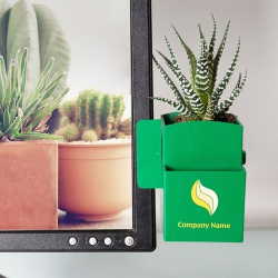 Végétal box plante