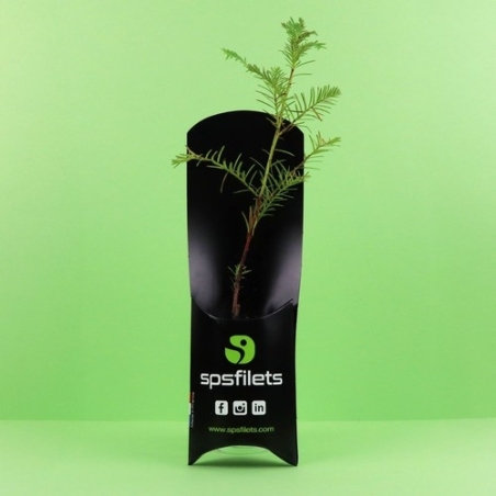 Etui arbre - Prestiges