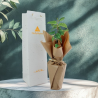 Plant d'arbre sac kraft - Feuillus
