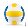 Ballon de volley
