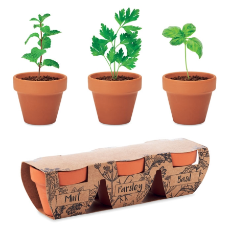 3 pots en terre