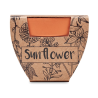 Pot graines de tournesol