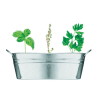Bac en zinc & herbes aromatique