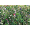 graines de mélange de fleurs