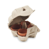 Kit de culture de cresson