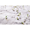 Papier A5 graines de fleurs