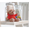 Ours en peluche avec t-shirt