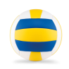 Ballon de volley