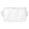 Sac isotherme 6 canettes Spectrum 4L