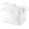 Sac isotherme 6 canettes Spectrum 4L
