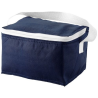 Sac isotherme 6 canettes Spectrum 4L