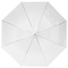 Parapluie 23" transparent à ouverture automatique Kate