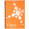 Cahier Desk-Mate® à spirales A4 avec couverture PP