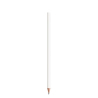 BIC®  Evolution® Classic Cut Ecolutions® crayon