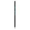 BIC®  Evolution® Classic Ecolutions® crayon