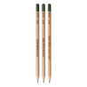 Sprout™ | Crayon